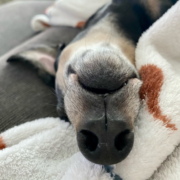 Meet your Posher, Glen - Picture 1 of 1